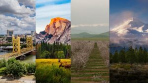 This image is meant to represent the variety of our area in four pictures with a Sacramento bridge, Yosemite Valley, an orchard in bloom and Mt Shasta.